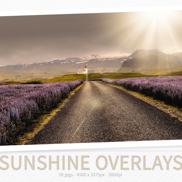 Sunshine Overlays - Sunlight Overlays - Sun Flares - Light Rays - Lens Flares - Light Overlays - Natural Light - Sun Beams - Photo Overlays