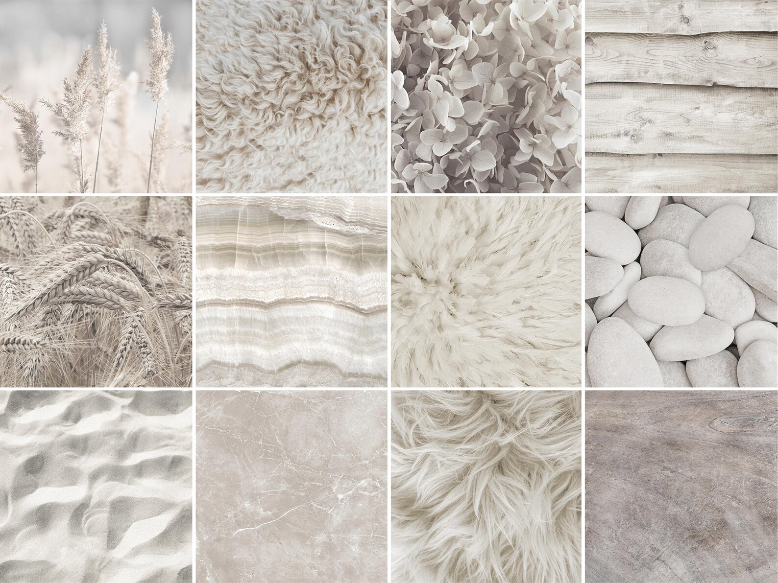 Neutral Color Textures Neutrals in Nature – Soft Organic Textures From Stone, Wood Grain, Fur ...