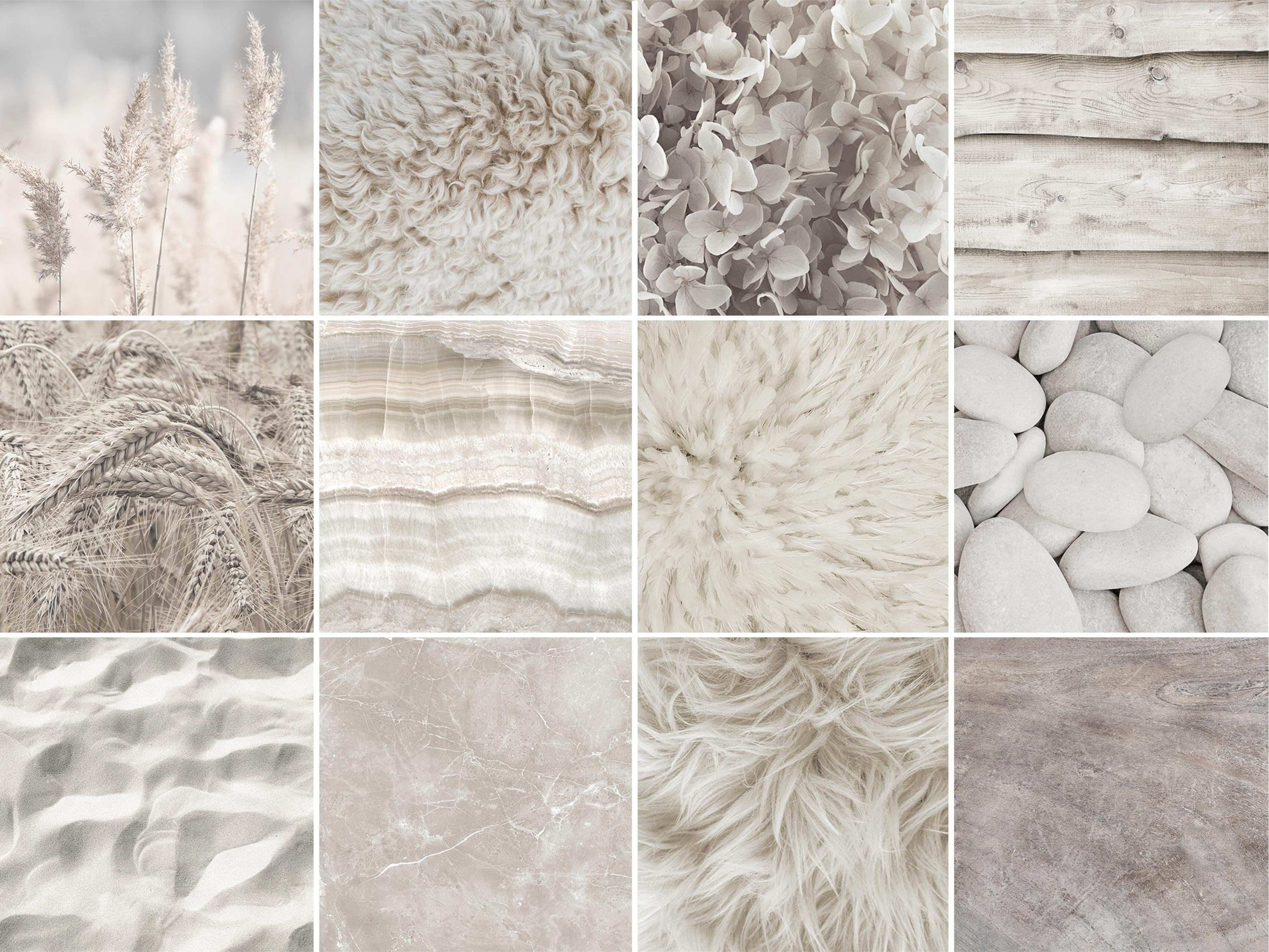Neutrals in Nature – Soft Organic Textures From Stone, Wood Grain, Fur ...
