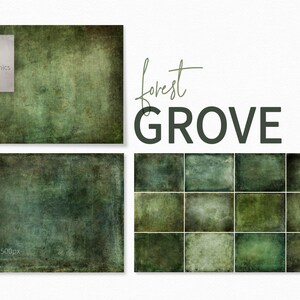 May include: A set of 12 digital backgrounds featuring a forest grove theme. The backgrounds are a dark green color with a textured, grunge-like appearance. The backgrounds are 6000 x 4500 pixels and 300 dpi.