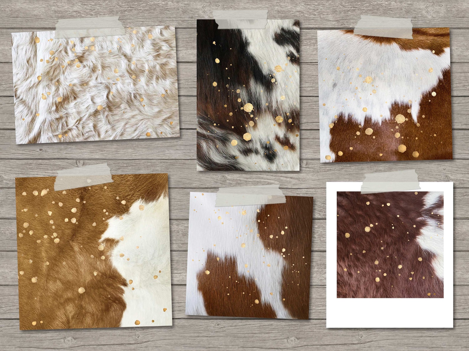 Digital Cowhide Textures With Gold Splatters Cowhide Etsy