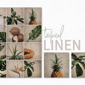 Texturas de lino tropical - Plantas tropicales sobre fondo de lino - Frutas tropicales - Imágenes digitales tropicales - Fondos tropicales rústicos