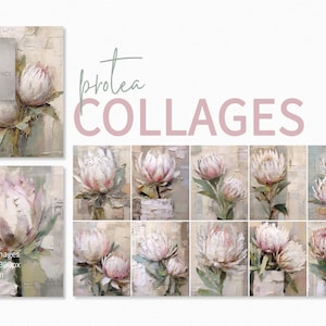Protea-collages – Botanische panelen met textuur – Neutrale muurlagen met blush en groen – Zuid-Afrikaanse bloemstelen – Pastel Protea Art