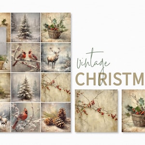 Pode incluir: Um conjunto de 12 imagens digitais de Natal vintage que apresentam uma variedade de cenas de inverno, incluindo pinheiros, cardeais, um veado, azevinho, bagas e pinhas. As imagens são de estilo rústico com um visual desbotado e vintage.