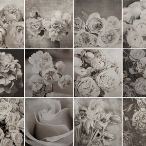May include: A collage of 12 black and white photographs featuring various types of flowers, including roses, peonies, and hydrangeas.