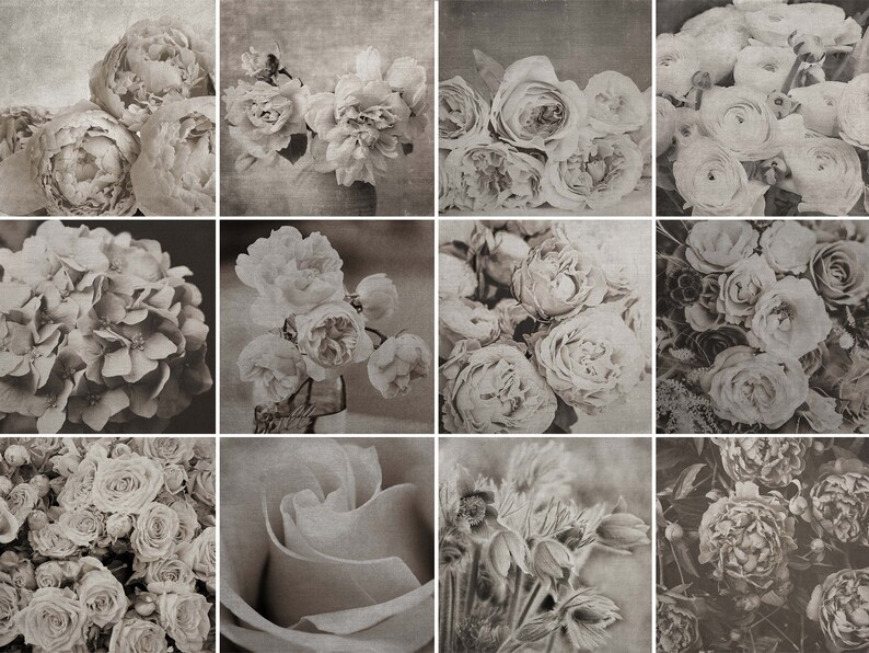 May include: A collage of 12 black and white photographs featuring various types of flowers, including roses, peonies, and hydrangeas.