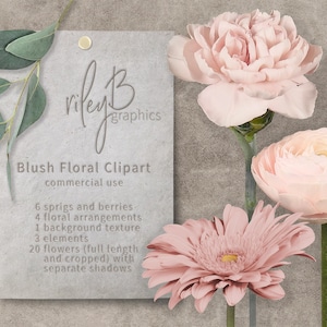 Blush Floral Clipart - Blush Wedding - Blush Invitations - Blush Flower Clipart - Blush Flowers - Blush Pink Wedding - Blush Baby Shower