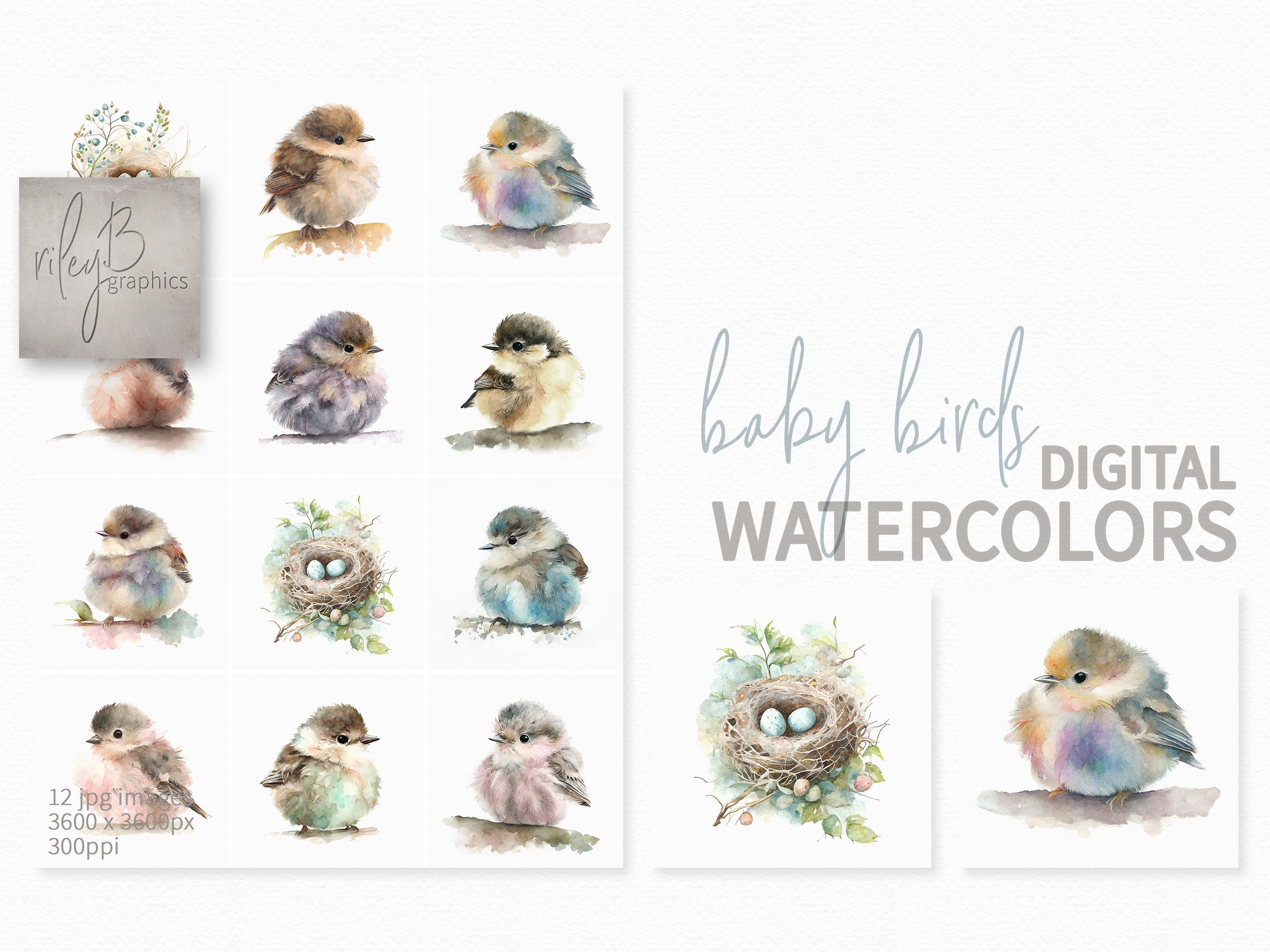 Baby Birds Watercolors Digital Baby Chicks Fluffy Baby Etsy