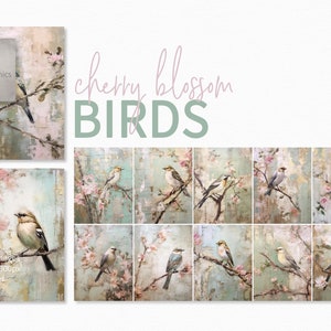 Kirschblüten Vogel Gemälde - Junk Journal Kunst - Vogel Strukturbilder - Pastell Vogel Gemälde - Druckbares Kirschblüten Papier