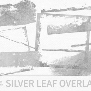 May include: 20 silver leaf overlays in PNG format, each measuring 3600 pixels by 300 dpi. The overlays feature abstract brushstrokes and frames in a silver metallic finish.
