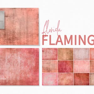 Florida Flamingo Texturen - Rosa und Orange farbige Hintergründe - Hellrosa und Orange Foto Backdrops - Pink Orange Flamingo Grunge
