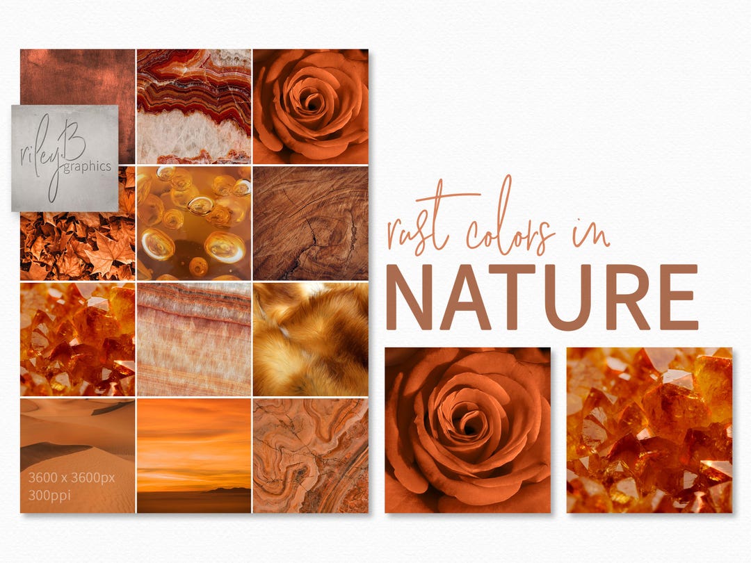 『Autumn Composition（秋の構成）』キャンバス一点もの Rust Colors in Nature – Burnt Orange Earth Tones – Autumn Leaf