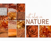 Rust Colors in Nature – Burnt Orange Earth Tones – Autumn Leaf Rose Mineral Wood Texture Set – Natural Warm Brown Amber Desert Photography