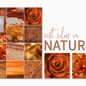Puede incluir: Un collage de imágenes que muestran texturas de color óxido encontradas en la naturaleza. El collage incluye imágenes de una rosa, cristales, madera, hojas y arena. El texto "rust colors in NATURE" se muestra en la parte superior del collage.