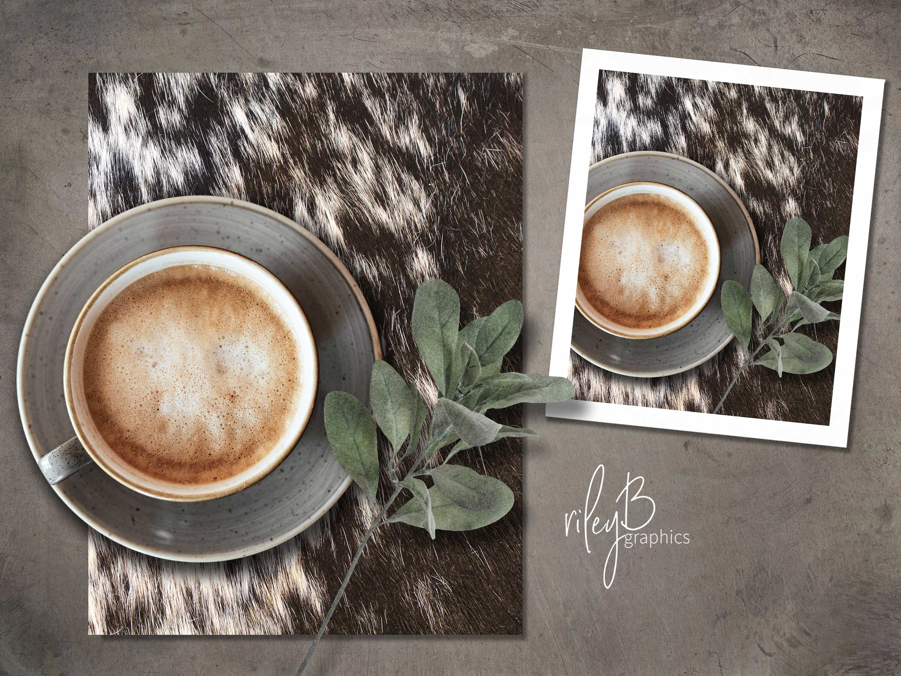 Nguni Hide Textures I Cowhide Backgrounds Brown and White Etsy Hong Kong