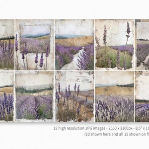 Rustic Lavender – Vintage French Lavender Fields – Soft Purple Pastel Landscapes – Antique Textured Overlays – Romantic Countryside Views image 2