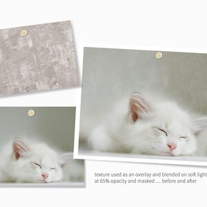 May include: A white cat with closed eyes is sleeping on a light gray background. The cat has a pink nose and white fur. The image is a before and after example of using a texture overlay to add a subtle, textured effect to a photo.