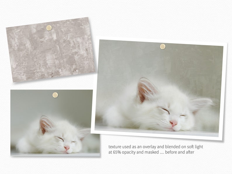 May include: A white cat with closed eyes is sleeping on a light gray background. The cat has a pink nose and white fur. The image is a before and after example of using a texture overlay to add a subtle, textured effect to a photo.