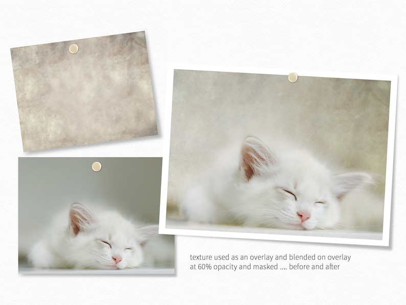 Op de afbeelding: Een witte kat met gesloten ogen slaapt op een wit oppervlak. De kat heeft een lichtroze neus en witte vacht. De afbeelding toont een voor-en-na-voorbeeld van het gebruik van een textuur-overlay om een vintage-look aan een foto te geven.