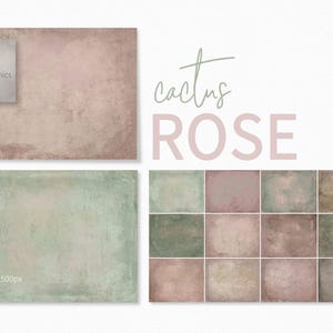 Cactus rose - tons du désert patinés - ensemble de textures rose fanée et sauge - surfaces rose poudré rustique - couches douces de grunge vintage