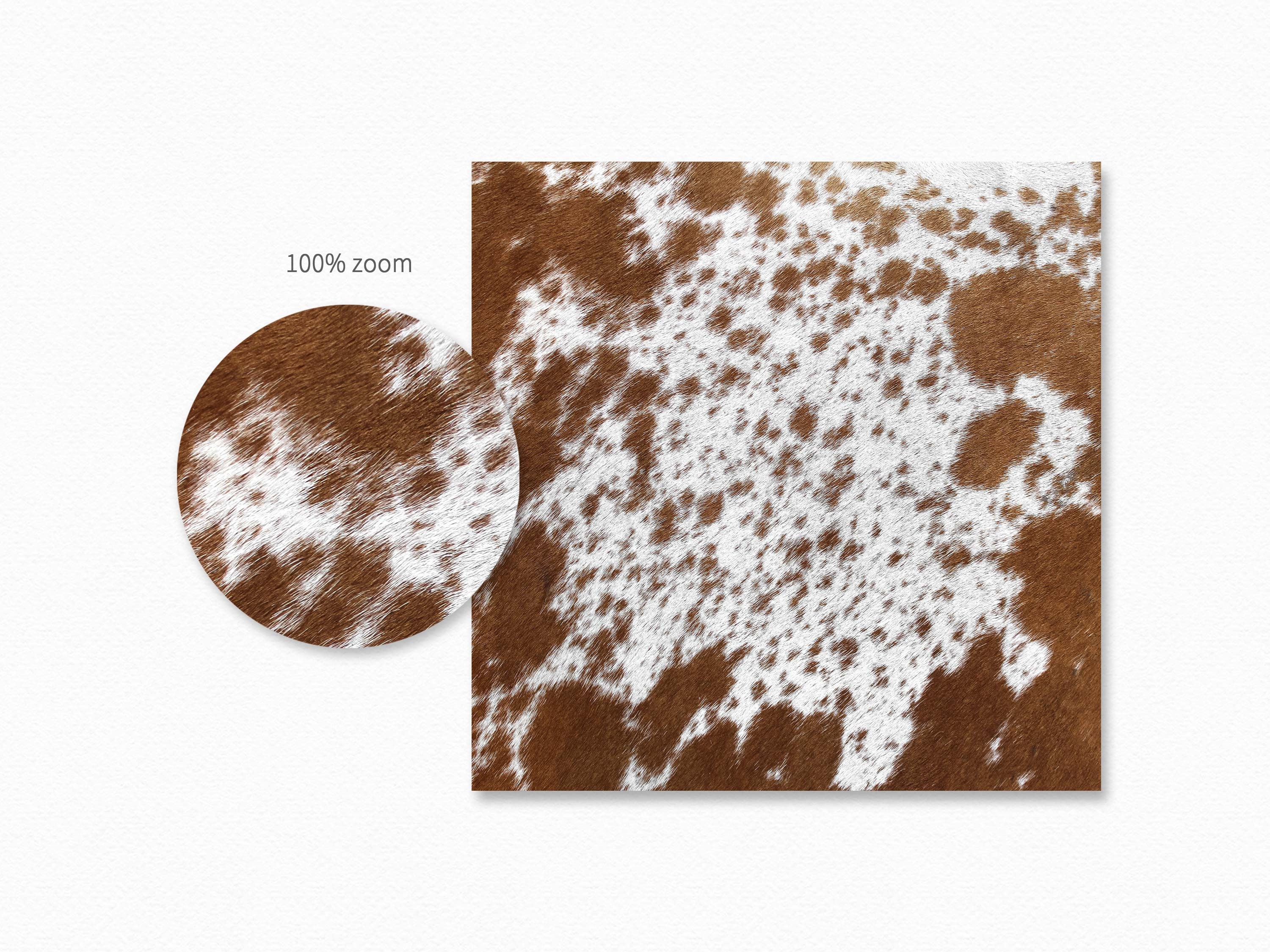 Nguni Hide Textures II - Cowhide Backgrounds - Brown and White Cowhide ...
