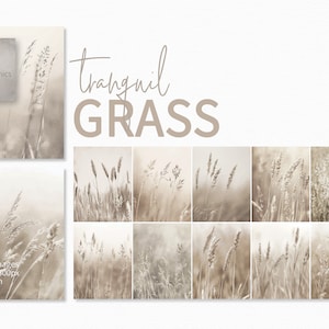 Rustige grasschilderijen - zachte neutrale tinten - zachte veldtexturen - rustieke botanische kunst - minimalistische natuuresthetiek