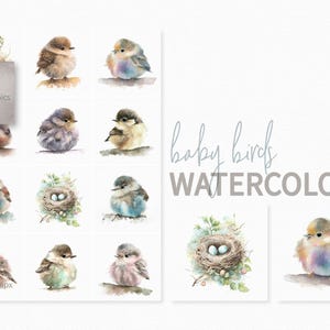赤ちゃん鳥の水彩画 - デジタル赤ちゃんひよこ - ふわふわ赤ちゃん鳥の背景 - パステル鳥の水彩画 - 鳥の昇華