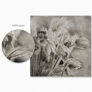 May include: A close-up of a bouquet of delicate, faded, white flowers with a textured background.