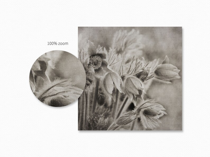 May include: A close-up of a bouquet of delicate, faded, white flowers with a textured background.