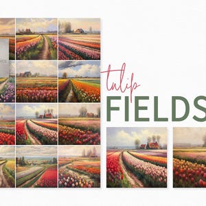 Pinturas digitales de campos de tulipanes - Paisajes holandeses - Fondos de tulipanes - Campos de tulipanes coloridos - Tulipanes holandeses - Campos de flores