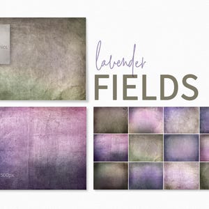 Texturas de campos de lavanda - Fondos con texturas en tonos púrpura - Paleta de color lavanda - Fondos fotográficos en tonos púrpura y verde