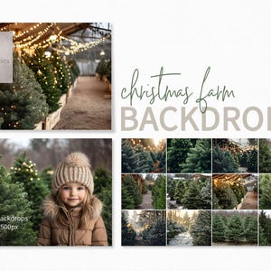 Fondos de granja navideña - Fondos de fotografía digital con abetos - Fondos de granja con árboles navideños editables en Photoshop