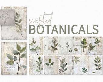 Scripted Botanicals - Pressed Leaf Illustrations - Aged Botanical Paper Textures - Vintage Greenery on Beige Scripted Backgrounds
