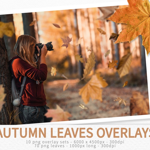 Autumn Leaves Overlays - Falling Leaves - Photo Overlays - Fall Overlays - Autumn Photo Editing - Editable Leaves Overlays - PNG Fall Leaves