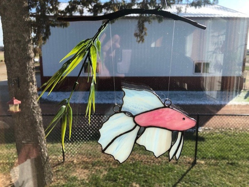 Stained Glass Suncatchers Betta Colorful Betta/'s with their own branch and greenery to mimic a real Aquarium setting!