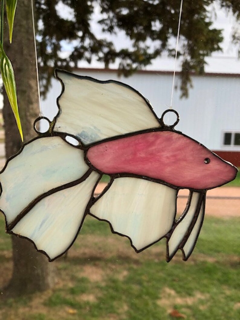 Stained Glass Suncatchers Betta Colorful Betta/'s with their own branch and greenery to mimic a real Aquarium setting!