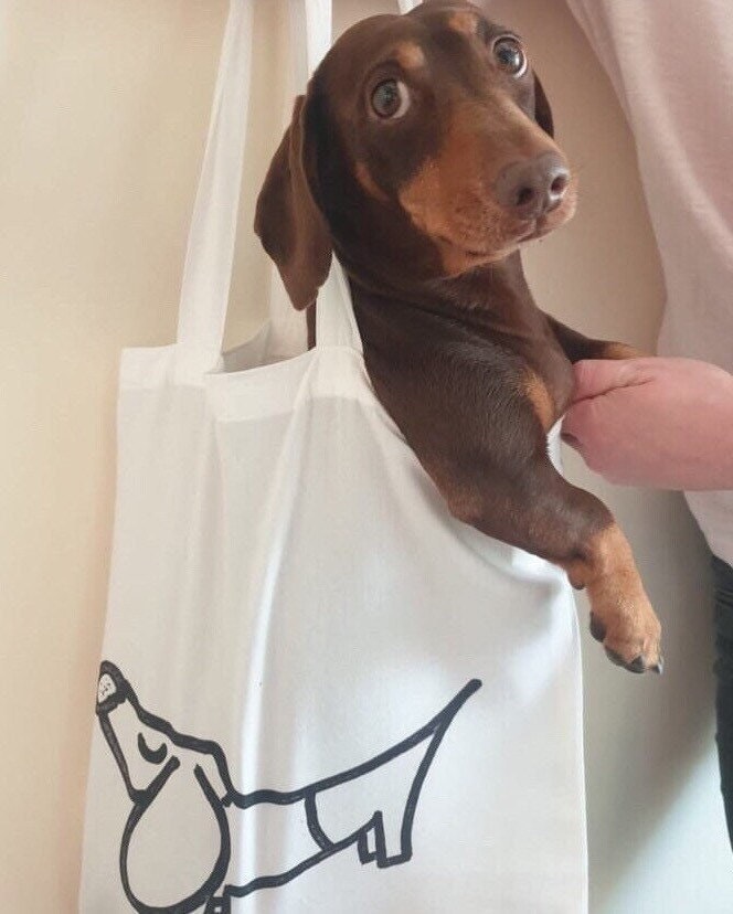 Simple Sausage Dog Tote Bag Sausage Dog Sausage Dog Gift Etsy UK