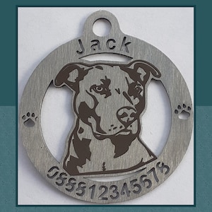 Personalized Custom Dog Tag Medallion for Pitbull