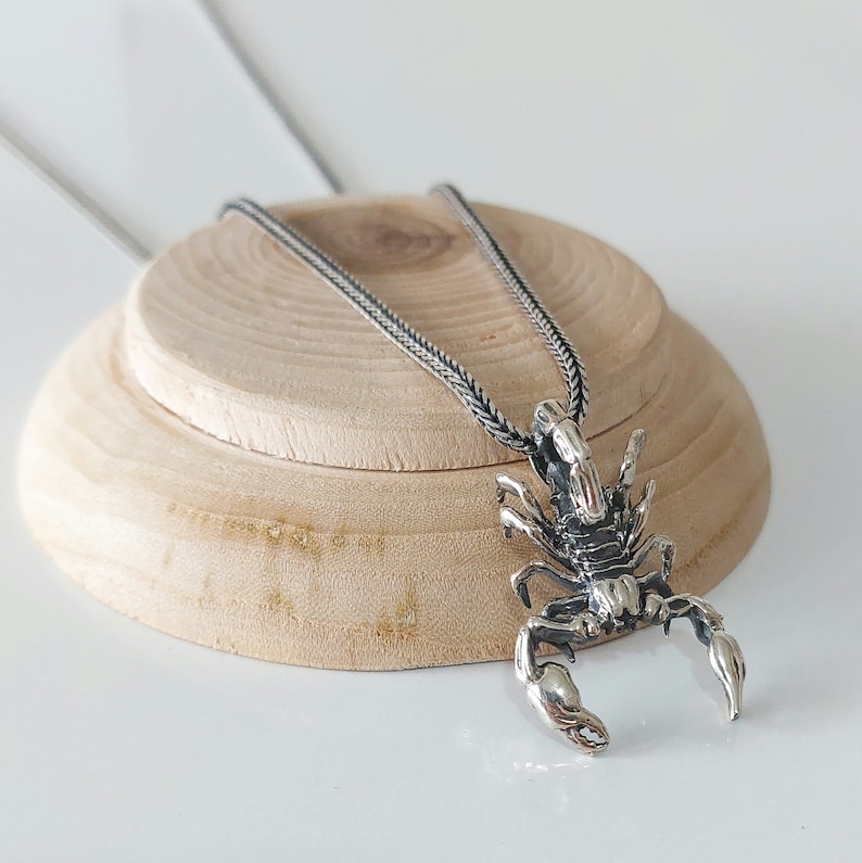 May include: A silver scorpion pendant necklace with a detailed design. The necklace is on a silver chain with a braided pattern.