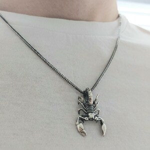 May include: A silver chain necklace with a scorpion pendant. The scorpion is detailed and has a realistic design.