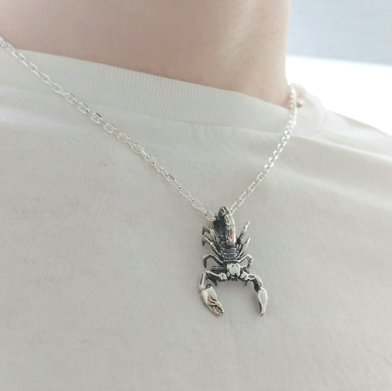 May include: A silver chain necklace with a silver scorpion pendant.