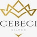 Ali Berk Cebeci
