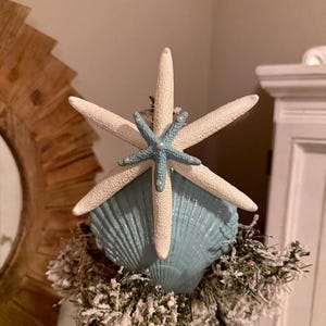 May include: A coastal-themed Christmas tree topper featuring a large, light blue seashell with a white starfish and a smaller turquoise starfish on top. The topper is surrounded by frosted greenery.