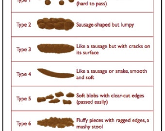 Può includere: Un grafico delle feci di Bristol con sette diversi tipi di feci, che vanno da grumi duri separati a liquido acquoso. Ogni tipo è illustrato con un'immagine di cartone animato marrone e una descrizione delle sue caratteristiche.