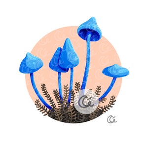 Mushroom Wall Art Print, Room Decor, Botanical Illustration