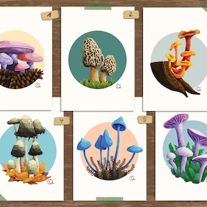 Print Champignon A6 carte postale illustration botanique