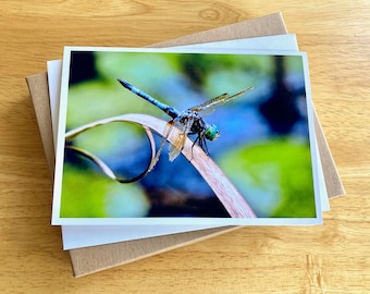 Dragonfly 5x7" Blank Greeting Cards Pack of 10