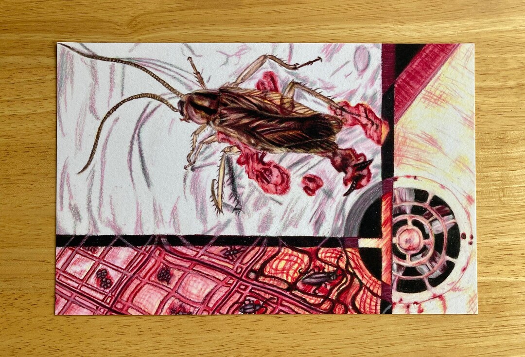 Cockroach Print Cockroach Art Print 6.5x10