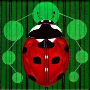 Lady Bug Art Print 5x5