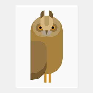 Pode incluir: Uma coruja marrom com grandes olhos redondos amarelos e uma cabeça pontiaguda. A coruja está olhando para a frente com as asas dobradas contra o corpo. A coruja está em pé sobre duas pernas laranja.